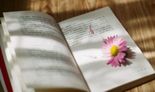 睡觉前发个幽默的说说 女人睡前发朋友圈的说说