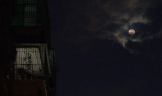 想念一个人的暖心说说 想念一个人的暖心说说带图片