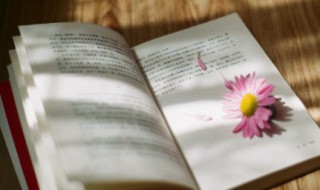 朋友圈旅游心情短语 发朋友圈的句子 心情短句