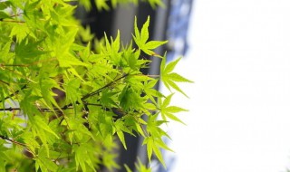 翻开以前照片心情短语 看照片回忆的感慨句子