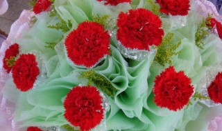 教师节送什么花好送几朵（教师节送什么花好送几朵呢）