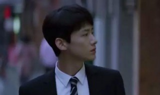 平凡的荣耀人物介绍 平凡的荣耀人物介绍图片