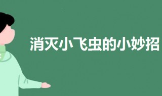 家里有小飞虫怎么消灭 家里有小飞虫怎么消灭小妙招