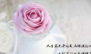 今天太累了的说说（今天太累了的说说发朋友圈）