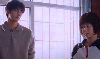 以家人之名后是什么电视剧（以家人之名是谁主演）