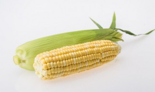 玉米炖鸡汤的做法（香菇玉米炖鸡汤的做法）