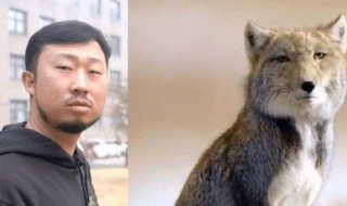 抖音无穷小亮藏狐啥梗什么意思 无穷小亮的梗