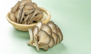 平菇蛋汤做法大全 平菇蛋汤做法大全图解