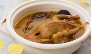 剖腹产妇鸽子汤的做法（剖腹产喝鸽子汤做法）