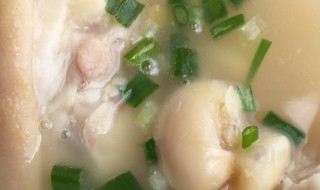 芸豆猪蹄汤的做法（芸豆猪蹄汤的做法和功效）