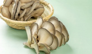 平菇鸡蛋汤的做法 西红柿平菇鸡蛋汤的做法