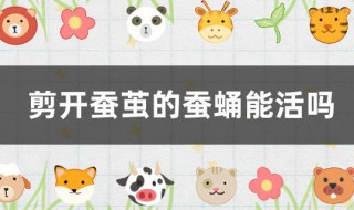 剪开蚕茧的蚕蛹能活吗（剪开蚕茧的蚕蛹能活吗图片）