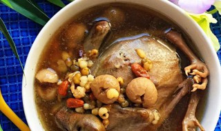 乳鸽绿豆汤的做法与功效 乳鸽绿豆汤的做法与功效与作用