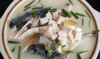 鲢鱼头汤的做法（盛世芳华花鲢鱼头汤的做法）