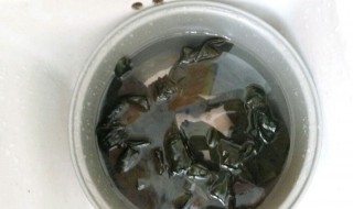 海带炖鸡汤的做法 海带炖鸡汤的做法大全家常