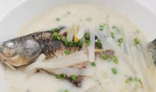 鲫鱼萝卜汤的做法 鲫鱼萝卜汤的做法又白又浓