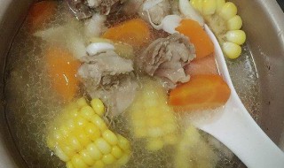 胡萝卜排骨汤的做法大全