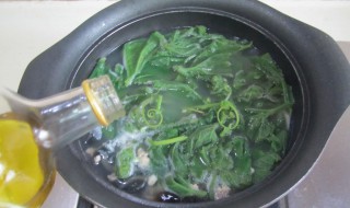 上汤南瓜苗的做法（上汤南瓜苗图片）