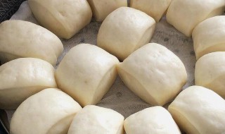 家常馒头做法大全 家常馒头做法大全窍门
