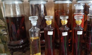 怎么泡酒 怎么泡酒好喝