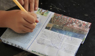 欧力给是什么意思 欧力给是什么意思奥利给是什么意思