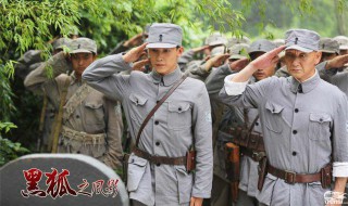 黑狐之风影剧情介绍 黑狐之风影剧情介绍演员表