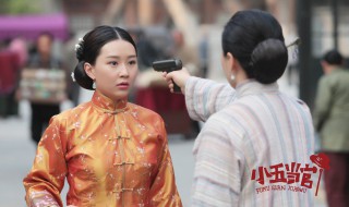 小五当官剧情分集介绍（小五当官最后一集）
