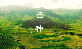 芒种宜吃什么水果（芒种适合吃的水果）