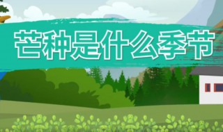芒种属于哪个季节的节气（芒种属于节气吗）