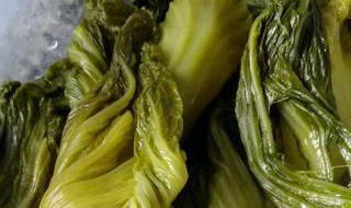 黄菜和碱蓬的区别（和碱蓬相似的一种菜是啥菜）