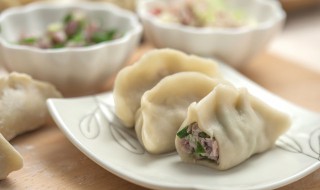韭菜包子馅怎么做好吃窍门（韭菜包子馅怎么做好吃窍门视频）