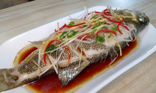 蒸鲈鱼家常菜 鲈鱼蒸什么