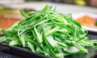 面条菜又叫什么名字（面条菜又叫什么名字好听）