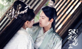 双世宠妃2剧情介绍（双世宠妃2剧情介绍(30集全电视猫）
