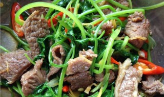 羊肉片的做法大全家常 羊肉片的做法大全家常窍门