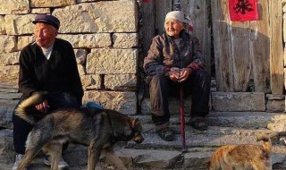 农村怎么养老（农村怎么养老,儿女在城市）