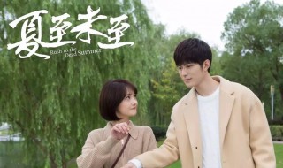 夏至未至主要讲的什么 夏至未至 百度百科
