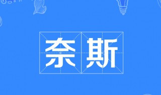 耐斯是什么意思（耐斯是什么意思英语）