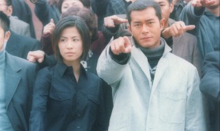 刑事侦缉档案4剧情分集介绍 刑事侦缉档案4剧情分集介绍39集