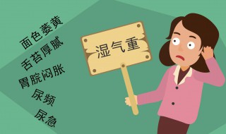湿气是什么 湿气是什么样子的图片