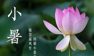 小暑是初伏吗（小暑是初伏吗?）