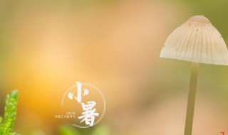 2021小暑是什么时间（2021小暑具体时间）
