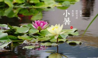 2021小暑节气特点介绍 2021小暑节气特点介绍视频