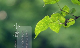 小暑下雨意味着什么（小暑下雨意味着什么 黄梅天）