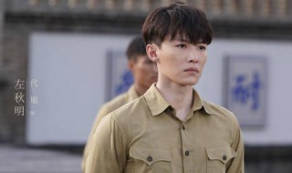 叛逆者剧情介绍演员左秋明（叛逆者剧情介绍左秋明扮演）