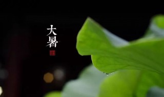 2021牛年大暑节气搬家好不好（2021大暑搬家好吗）