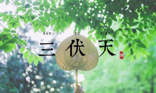 2021年三伏天时间表共多少天 2021年三伏天时间表有多少天