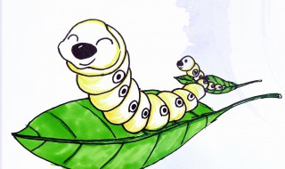 养蚕注意事项（养蚕注意事项简短）