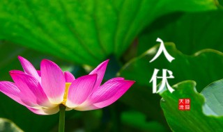 二零二一年入伏时间（二0二一年什么时候进伏）