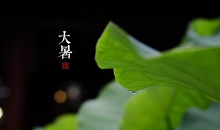 大暑是几伏天（大暑在几伏天）